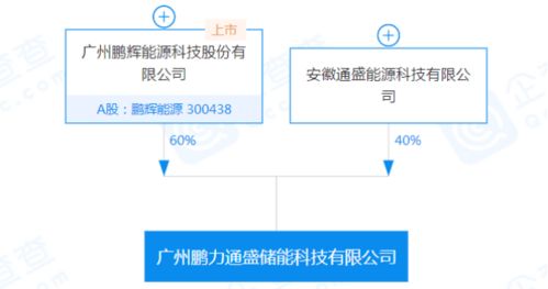 鹏辉能源参股设立储能公司，加码信息系统集成服务布局