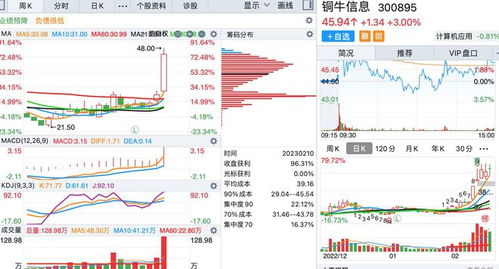 底部周线放出巨量的个股名单 聚焦信息系统集成服务板块
